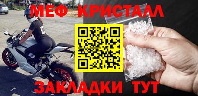 прущие грибы Малгобек