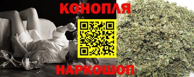 прущие грибы Малгобек