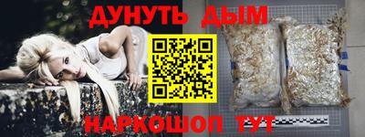 прущие грибы Малгобек