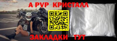 прущие грибы Малгобек