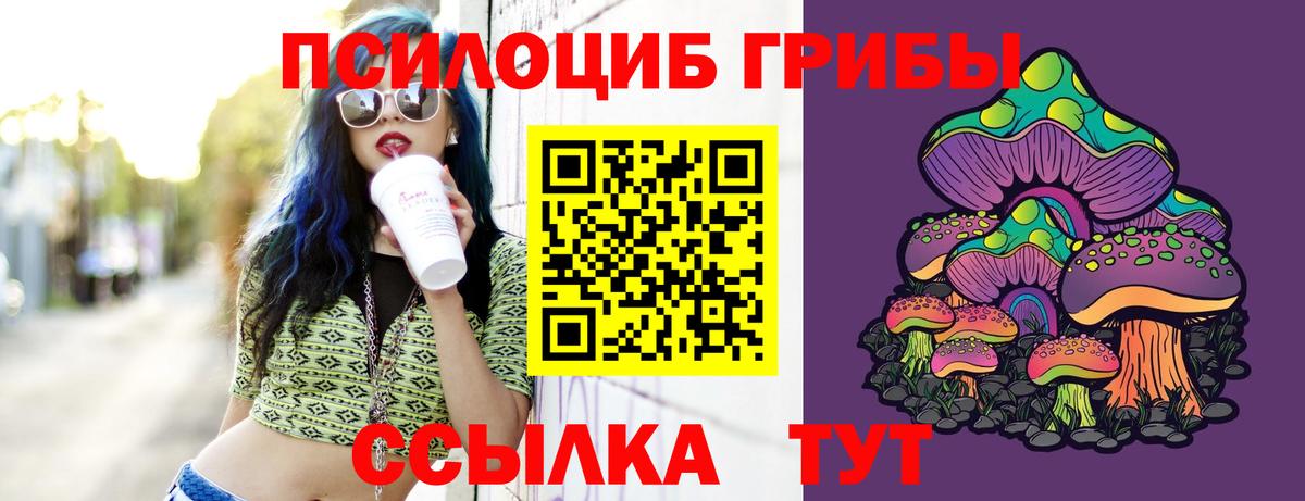 Псилоцибиновые грибы мухоморы  Вход с VPN  Алапаевск 