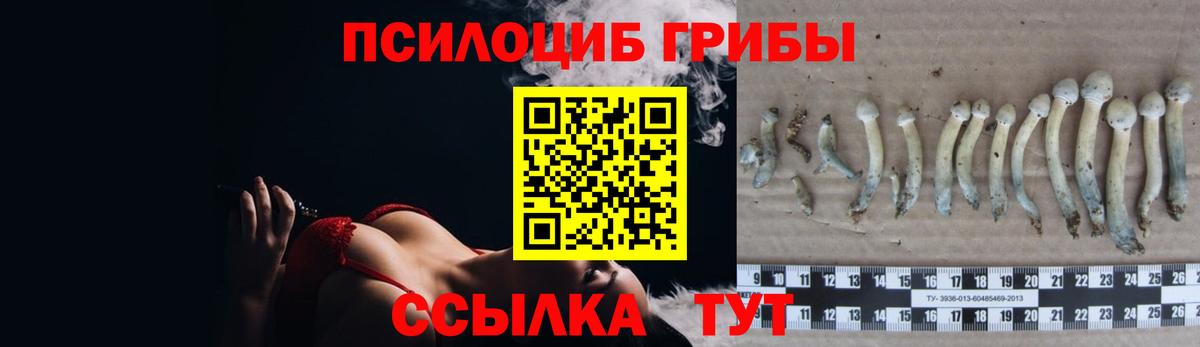 Псилоцибиновые грибы Psilocybine cubensis Алапаевск